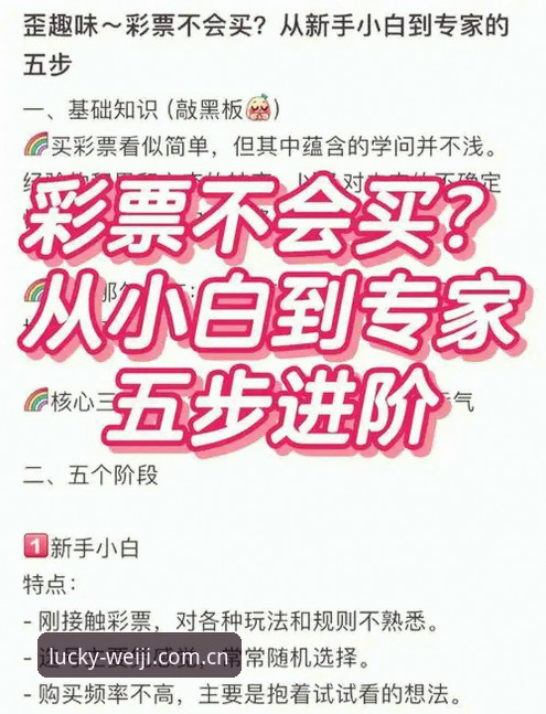 维基体育彩票平台CN站新手避坑的3个实用体验